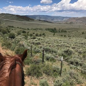 Meet your Posher, Jenni